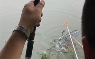 探索垂钓中心游戏