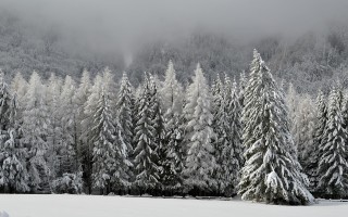 部队穿越哀牢山现场画面研究