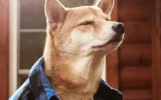 孤独感的图片动漫图片
