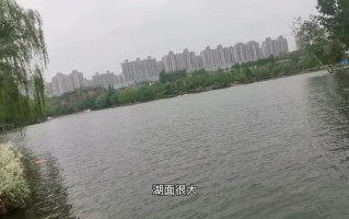郑州哪里可以钓大鱼