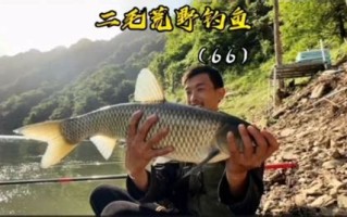 二毛荒野垂钓