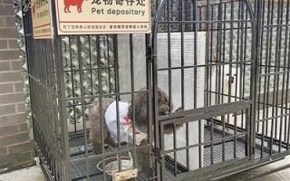 菏泽东站寄存柜