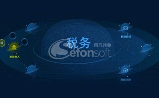 税务大数据团队