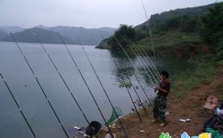 宿州沱河有什么鱼
