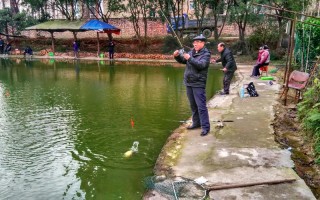 资阳区人民政府官网