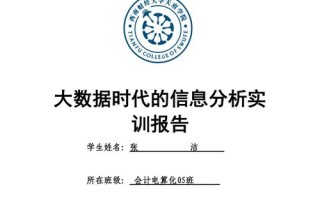 计算机导论论文大数据技术的应用