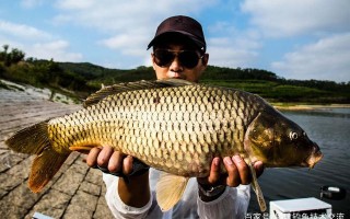最佳的鲤鱼户外垂钓时间