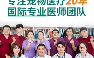 浦东新区宠物医院地址