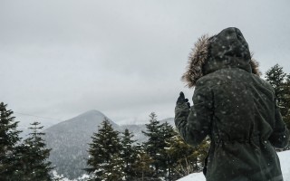 前男友向刘晓庆索赔504万，一起深入了解这起引人注目的案件