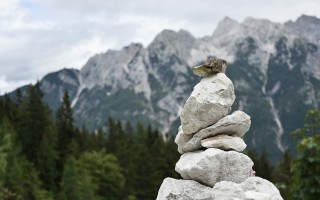 贡嘎山，自然与人类和谐共存的圣地