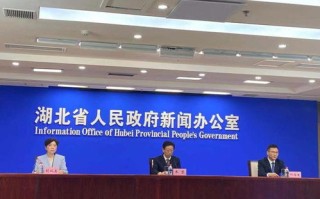 湖北警方破获的诈骗案