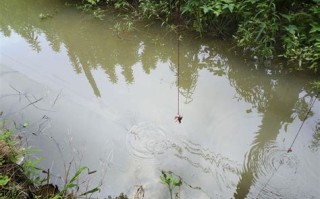 绵阳安州区小龙虾垂钓地点推荐