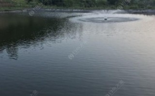 渝北区野钓