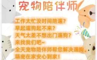 养小鸡宠物文案怎么写
