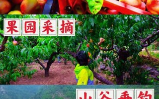 汇福大酒店订餐电话