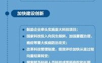 1.报告结构
