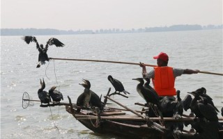 济宁垂钓吃饭的地方在哪里