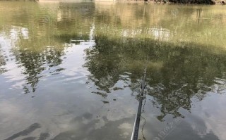 东海塘钓鱼最佳位置