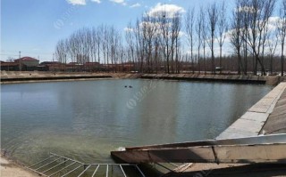 四海钓鱼场怎么样