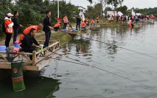如何去庙后王河垂钓区