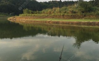 湘潭哪里有鱼钓