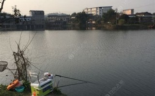 附近免费垂钓地方