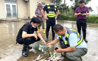 法律法规建设