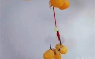 冬季老坛玉米好钓鱼嘛