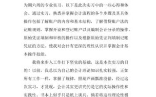 财务大数据分析心得体会