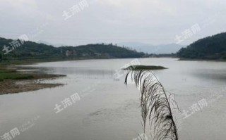 野钓水库总空军