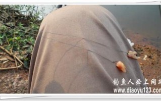 宝山钓小龙虾