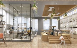 宠物店滤镜图片真实图