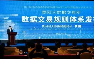 大数据管理服务局局长是什么级别