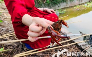 龙城垂钓休闲中心