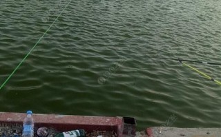 秦皇岛黑坑垂钓园在哪