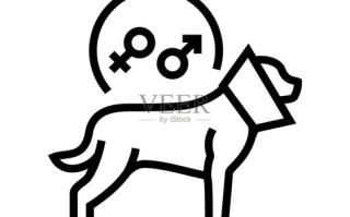 宠物绝育上门服务