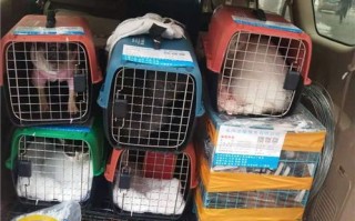 了解相关规定