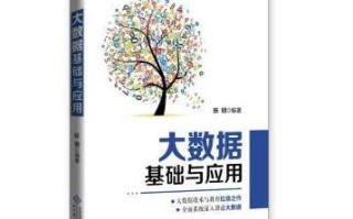 国外大数据发展的书籍有哪些
