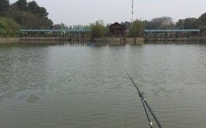 87休闲垂钓中心