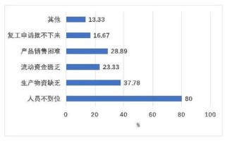 武汉抗疫大数据总结汇报