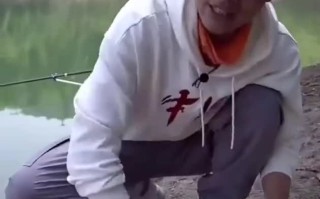 背景与经历