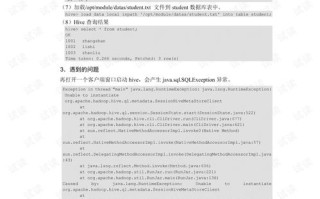 引言