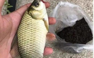 自然水域中垂钓的原因