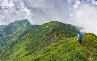 掌握百度百科文献引用的正确方法