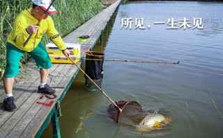 龙州哪里好钓鱼
