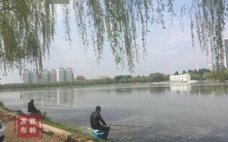 玉渊潭赏月地点