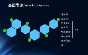 大数据革命：