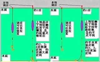 资江有什么鱼