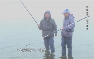 1.观看样本视频