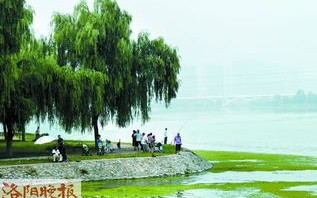 洛阳洛河钓鱼